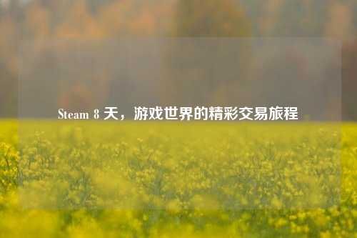 Steam 8 天，游戏世界的精彩交易旅程