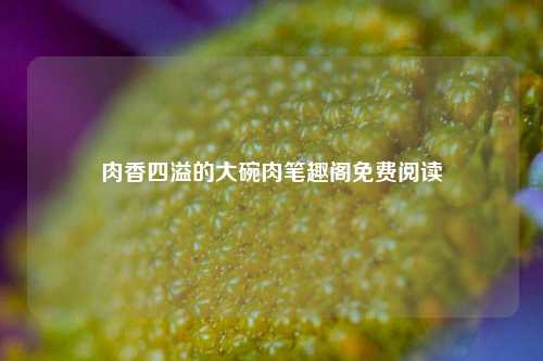 肉香四溢的大碗肉笔趣阁免费阅读