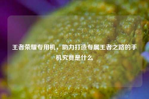 王者荣耀专用机，助力打造专属王者之路的手机究竟是什么