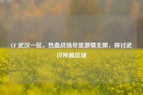 CF 武汉一区，热血战场尽显 *** 无限，探讨武汉所属区域