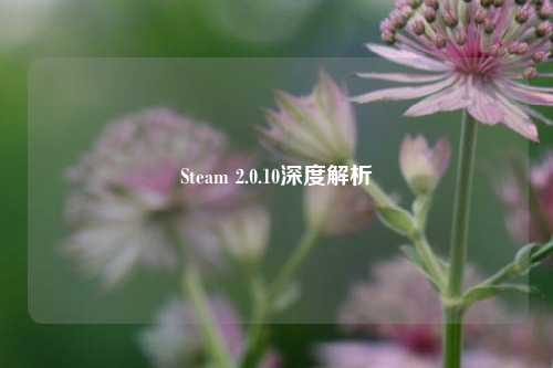 Steam 2.0.10深度解析