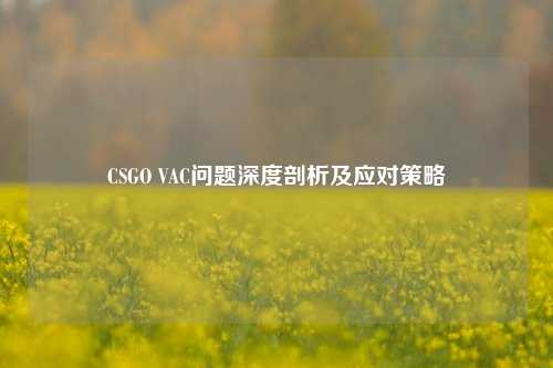 CSGO VAC问题深度剖析及应对策略