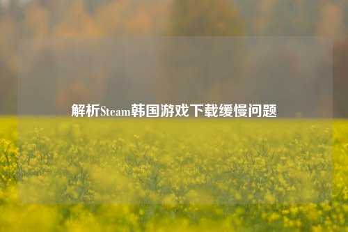 解析Steam韩国游戏下载缓慢问题