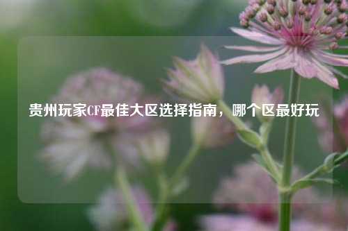 贵州玩家CF更佳大区选择指南，哪个区更好玩