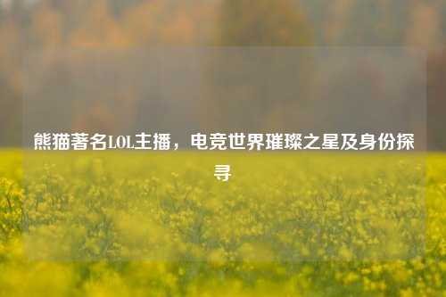 熊猫著名LOL主播，电竞世界璀璨之星及身份探寻