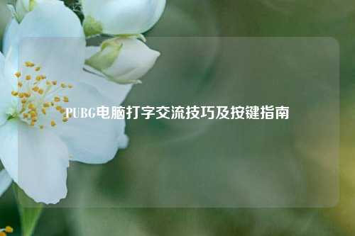 PUBG电脑打字交流技巧及按键指南