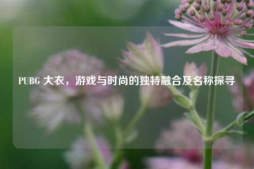 PUBG 大衣，游戏与时尚的独特融合及名称探寻