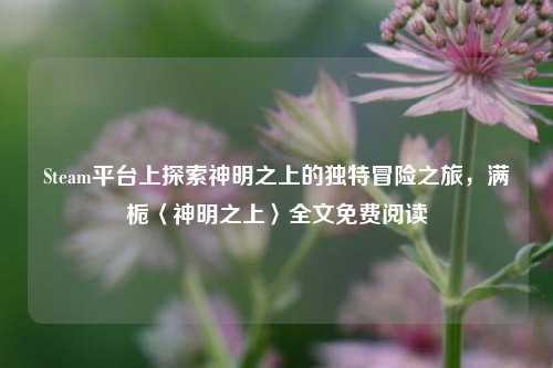 Steam平台上探索神明之上的独特冒险之旅，满栀〈神明之上〉全文免费阅读