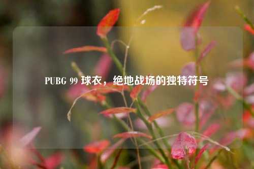 PUBG 99 球衣，绝地战场的独特符号