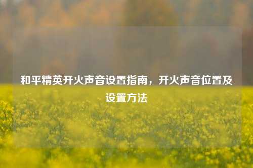 和平精英开火声音设置指南，开火声音位置及设置 *** 