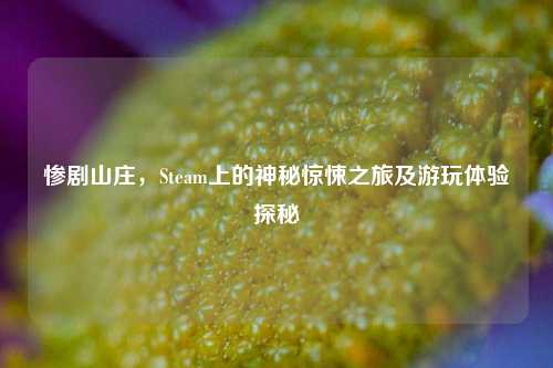 惨剧山庄，Steam上的神秘惊悚之旅及游玩体验探秘