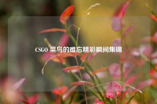 CSGO 菜鸟的难忘精彩瞬间集锦