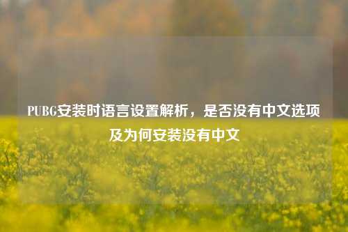 PUBG安装时语言设置解析，是否没有中文选项及为何安装没有中文