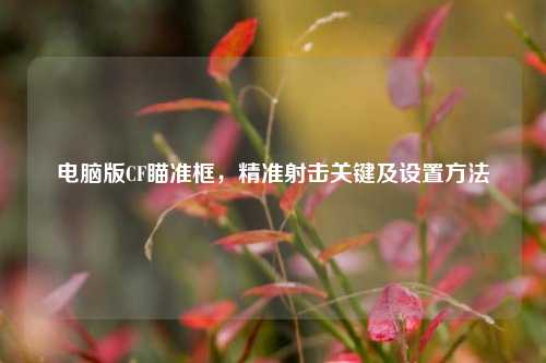 电脑版CF瞄准框，精准射击关键及设置 *** 