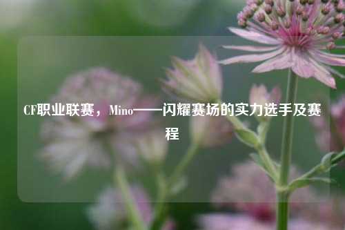 CF职业联赛，Mino——闪耀赛场的实力选手及赛程