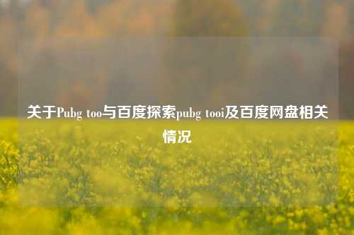 关于Pubg too与百度探索pubg tooi及百度网盘相关情况