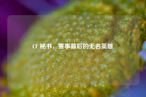 CF 秘书，赛事幕后的无名英雄