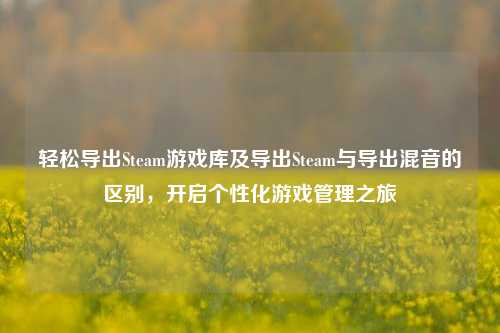 轻松导出Steam游戏库及导出Steam与导出混音的区别，开启个性化游戏管理之旅