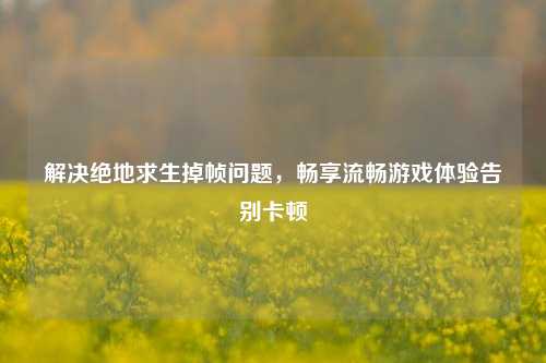 解决绝地求生掉帧问题，畅享流畅游戏体验告别卡顿