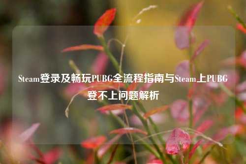 Steam登录及畅玩PUBG全流程指南与Steam上PUBG登不上问题解析
