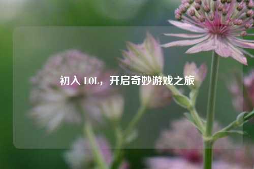 初入 LOL，开启奇妙游戏之旅