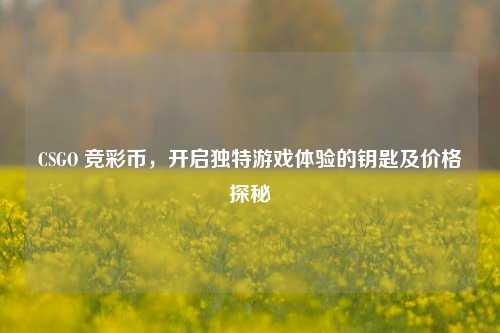 CSGO 竞彩币，开启独特游戏体验的钥匙及价格探秘
