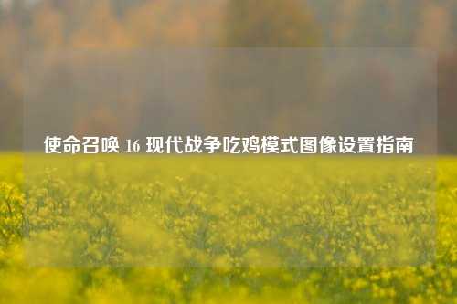 使命召唤 16 现代战争吃鸡模式图像设置指南