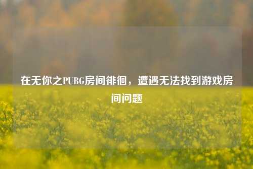 在无你之PUBG房间徘徊，遭遇无法找到游戏房间问题