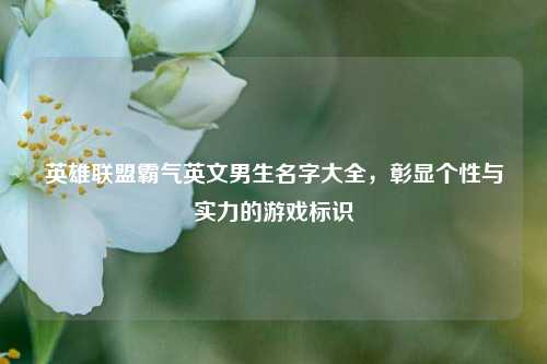 英雄联盟霸气英文男生名字大全，彰显个性与实力的游戏标识