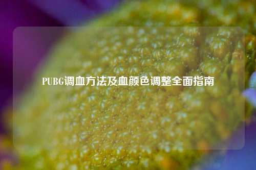 PUBG调血 *** 及血颜色调整全面指南