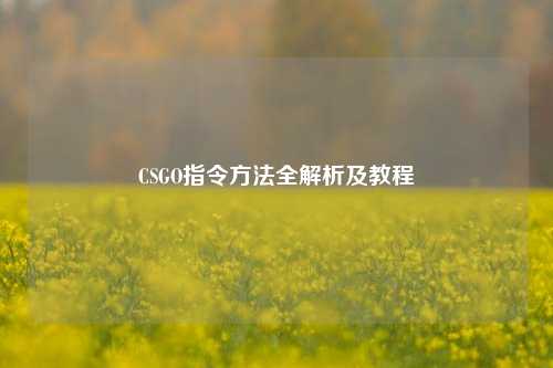 CSGO指令 *** 全解析及教程