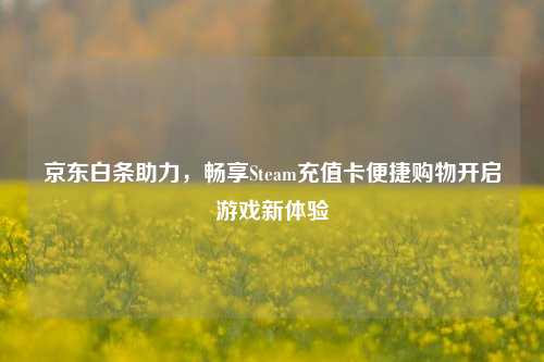 京东白条助力，畅享Steam充值卡便捷购物开启游戏新体验