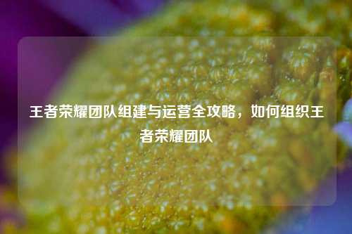 王者荣耀团队组建与运营全攻略，如何组织王者荣耀团队