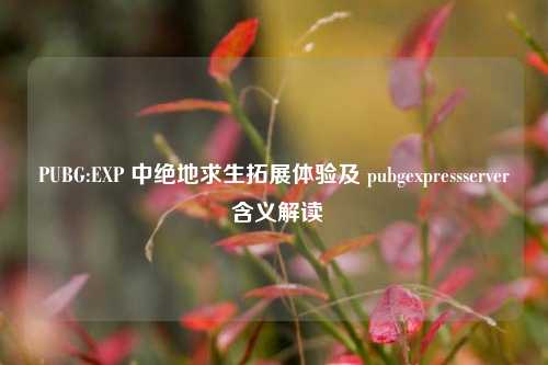 PUBG:EXP 中绝地求生拓展体验及 pubgexpressserver 含义解读