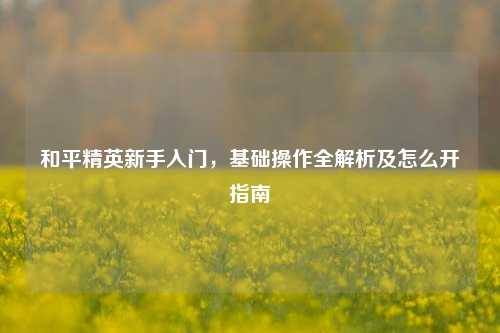 和平精英新手入门，基础操作全解析及怎么开指南