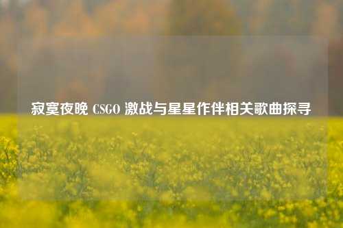 寂寞夜晚 CSGO 激战与星星作伴相关歌曲探寻