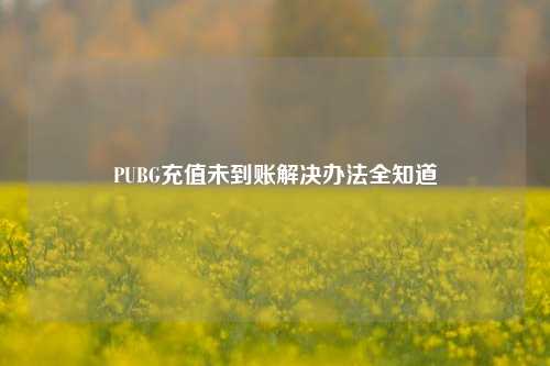 PUBG充值未到账解决办法全知道