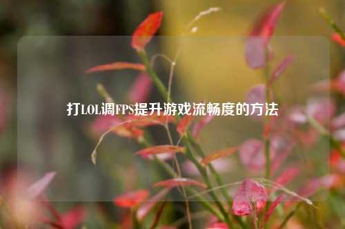 打LOL调FPS提升游戏流畅度的 *** 