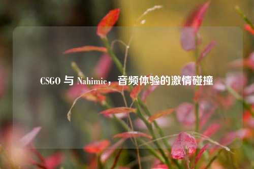 CSGO 与 Nahimic，音频体验的 *** 碰撞