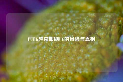 PUBG越南服刷UC的风险与真相