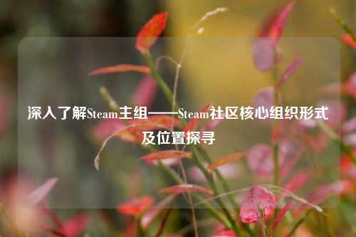 深入了解Steam主组——Steam社区核心组织形式及位置探寻
