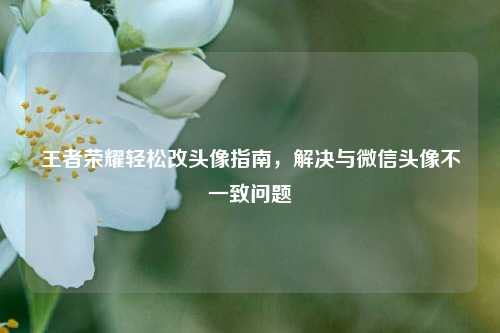 王者荣耀轻松改头像指南，解决与微信头像不一致问题