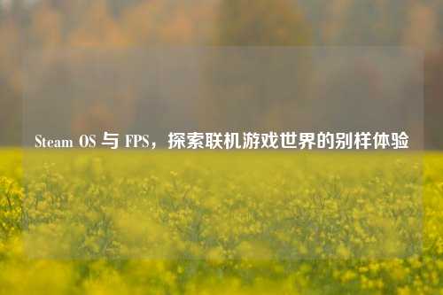 Steam OS 与 FPS，探索联机游戏世界的别样体验
