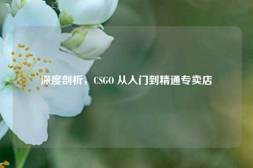 深度剖析，CSGO 从入门到精通专卖店