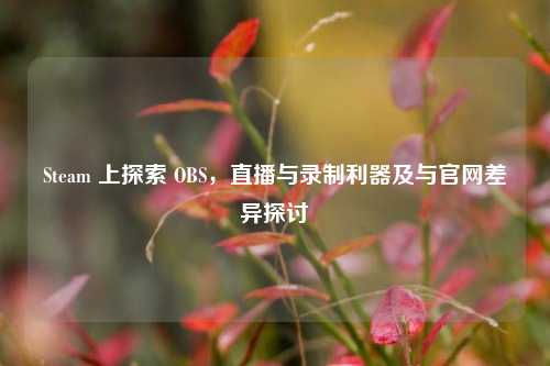 Steam 上探索 OBS，直播与录制利器及与官网差异探讨