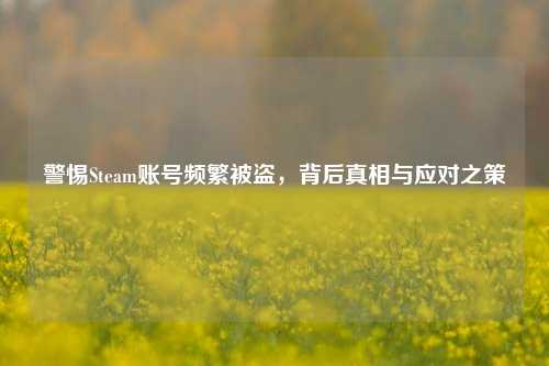 警惕Steam账号频繁被盗，背后真相与应对之策