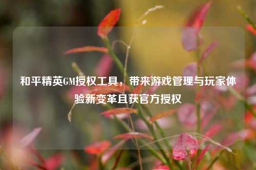 和平精英GM授权工具，带来游戏管理与玩家体验新变革且获官方授权