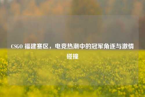 CSGO 福建赛区，电竞热潮中的冠军角逐与 *** 碰撞