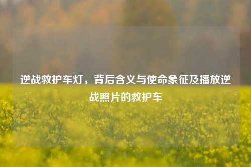 逆战救护车灯，背后含义与使命象征及播放逆战照片的救护车