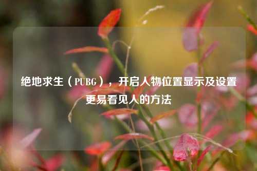 绝地求生（PUBG），开启人物位置显示及设置更易看见人的 *** 